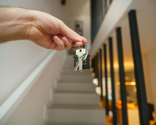 pexels-jakubzerdzicki-31651009