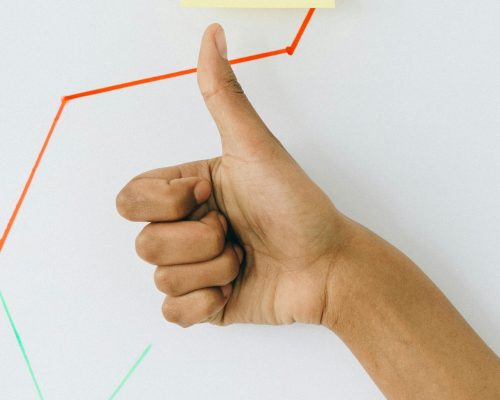 pexels-n-voitkevich-7172858