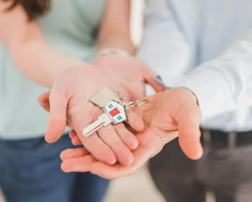 pexels-rdne-8293771-2048x1365